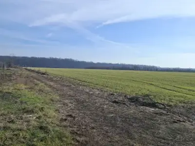 Oportunitate Unică: Teren Intravilan 12000 mp în Balotești, Ilfov - Ideal Construcții Rezidențiale