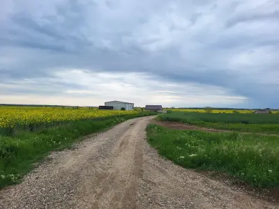 Teren 28.000mp Balotești, acces DN1, utilități, 27€/mp