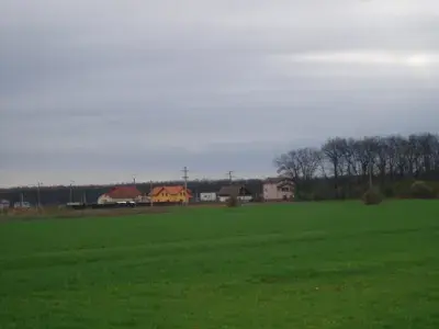 Teren 1 Ha, Cioflinceni, Ilfov, la pădure, DN1, A3