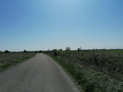 Vanzare teren Corbeanca, 25000 mp, lotizat cu PUZ aprobat