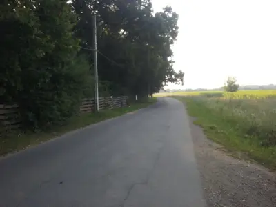 Teren 1 ha Corbeanca, str. Radarului, aviz 2 case, utilități