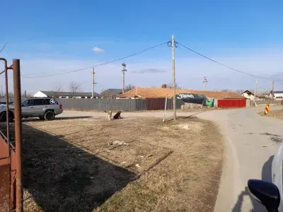 Teren Intravilan Dascălu 10.000 mp - Ideal pentru Depozitare și Industrie