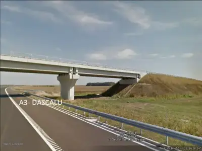 Teren 10 ha, Dascălu, Ilfov, lângă pădure și A3