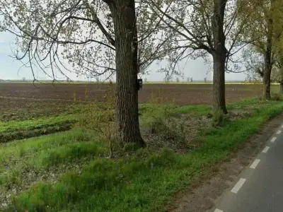 Teren 17800mp, Dascălu, Ilfov, Drum Județean, POT 35%