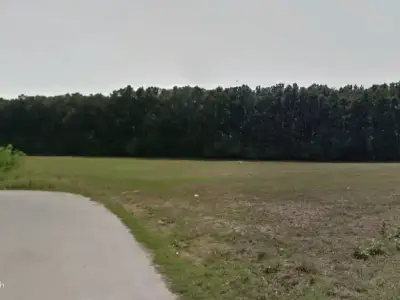 Teren 16700mp Dascălu, Ilfov, la pădure, 2 laturi la drum asfaltat