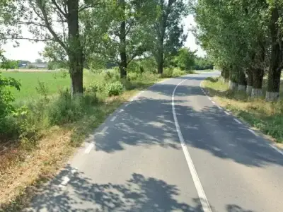 Teren 1900mp, Gruiu, Ilfov, Drum Județean Silistea Snagov