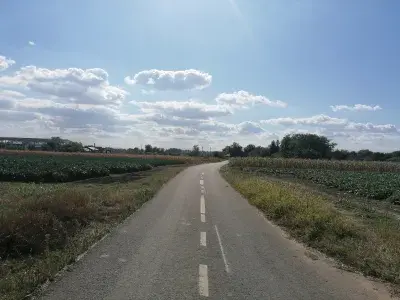 Teren 15300mp, Gruiu, Ilfov, acces 69m, langa DJ101B