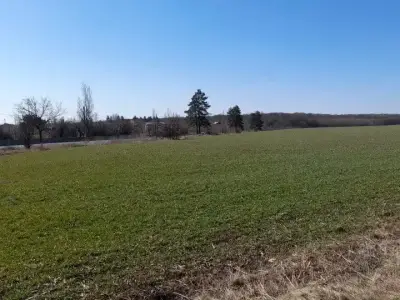 Teren Săftica, Ilfov, vedere lac și pădure, lângă DN1, 23390+ mp