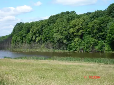 Teren 7 ha Snagov, Ilfov - Lac, Pădure, A3