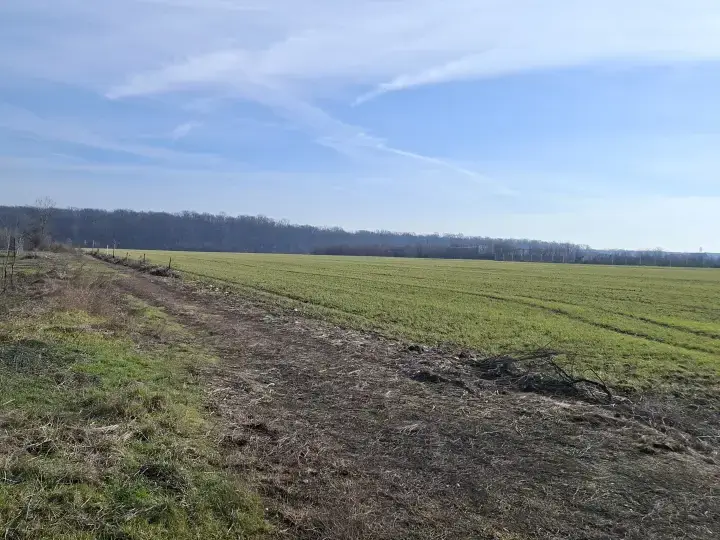 Oportunitate Unică: Teren Intravilan 12000 mp în Balotești, Ilfov - Ideal Construcții Rezidențiale