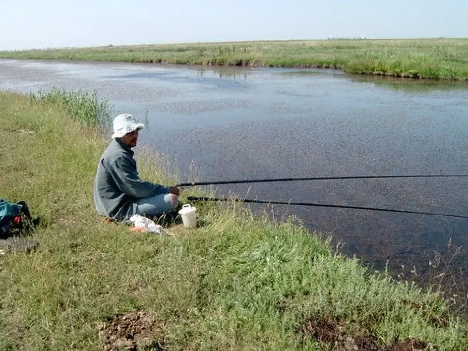 Teren 15300mp, Balotești-Săftica, Lac, str. Nalbei