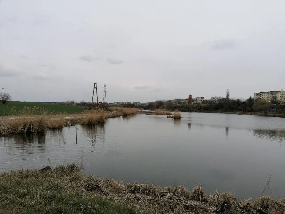 Teren de Vânzare Balotești 1 Ha lângă Lac, Lotizat și cu Utilități Disponibile