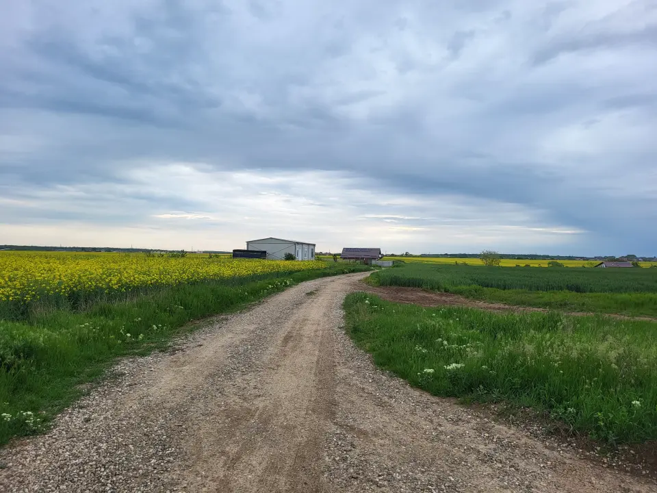 Teren 28.000mp Balotești, acces DN1, utilități, 27€/mp