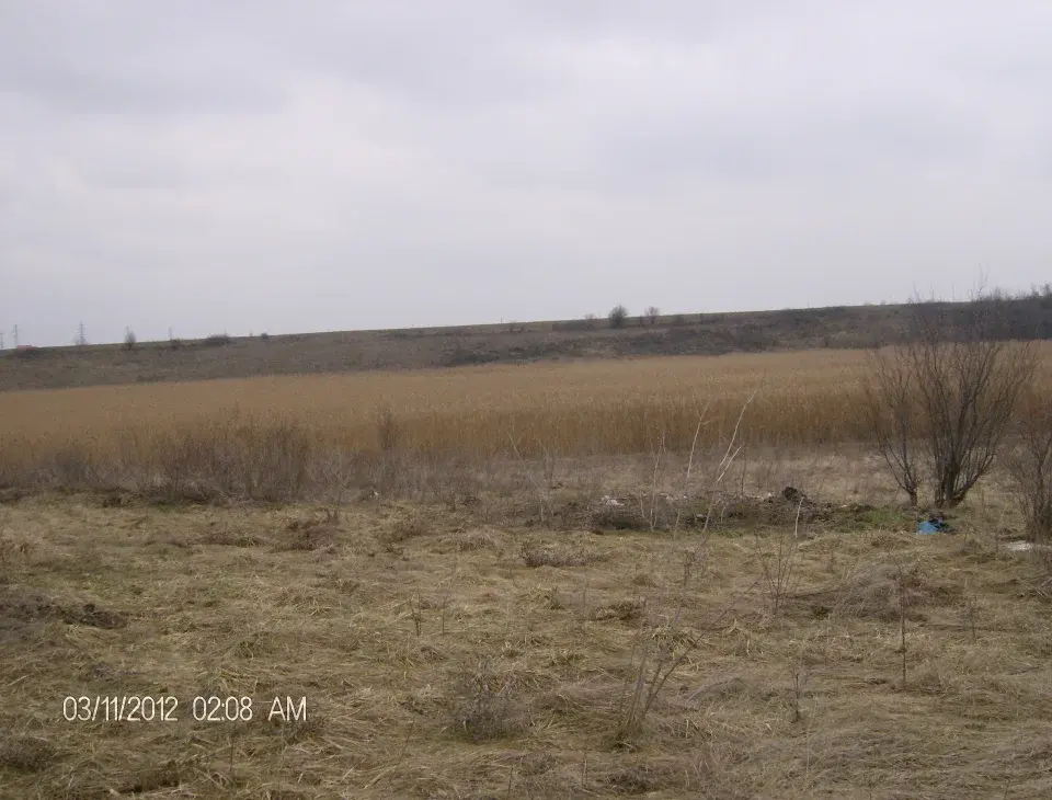 Teren 8ha Corbeanca, Lac Peris, deschidere 310m la lac