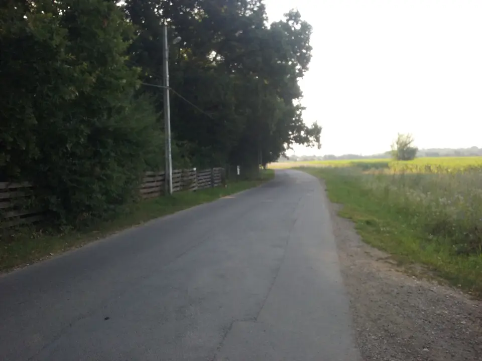 Teren 1 ha Corbeanca, str. Radarului, aviz 2 case, utilități