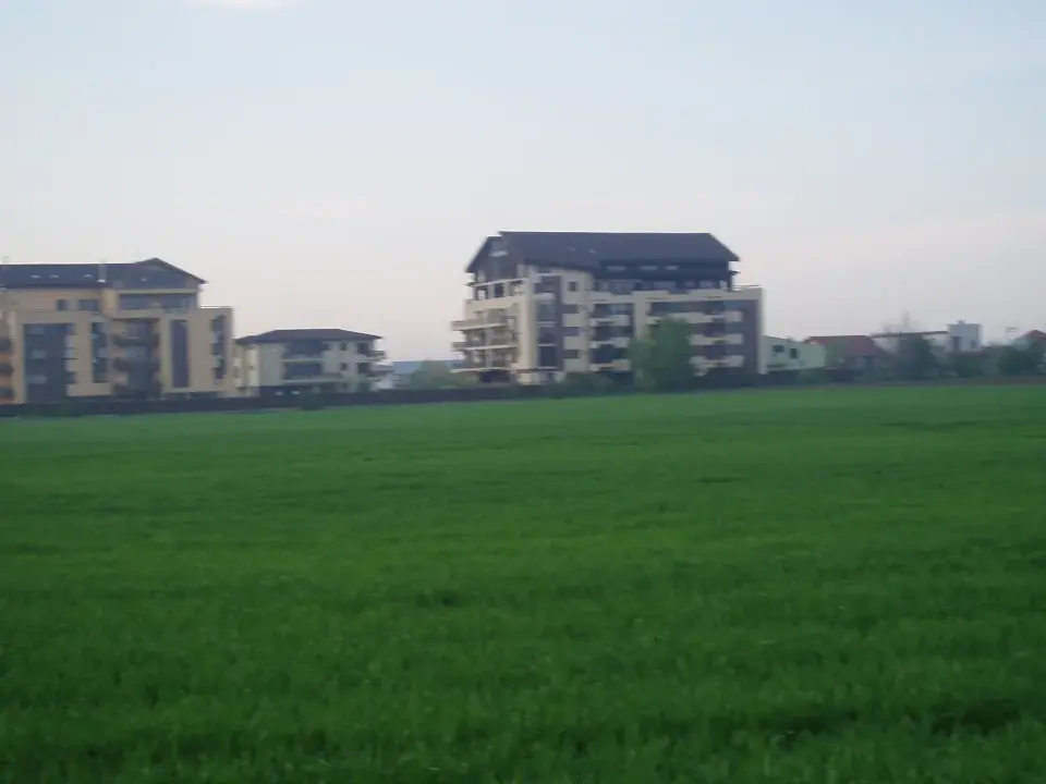 Teren Intravilan Corbeanca 35.000 mp, Acces Asfaltat, Utilități, Vedere Pădure