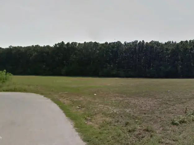 Teren 16700mp Dascălu, Ilfov, la pădure, 2 laturi la drum asfaltat