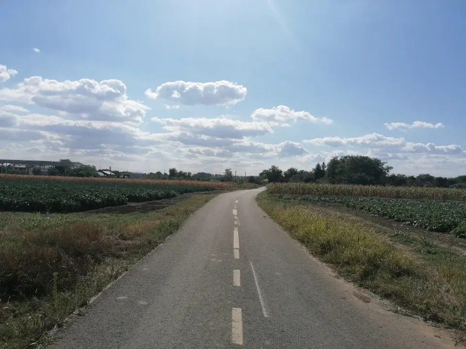 Teren 15300mp, Gruiu, Ilfov, acces 69m, langa DJ101B