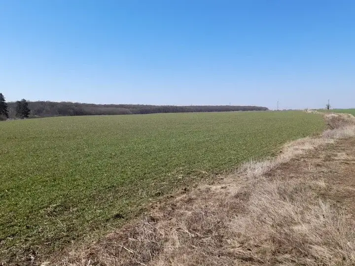 Teren 16800mp Săftica, Ilfov - Lac, Pădure, DN1