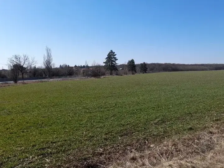 Teren Săftica, Ilfov, vedere lac și pădure, lângă DN1, 23390+ mp